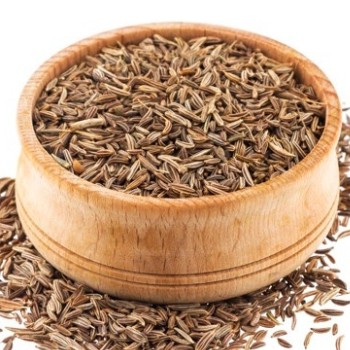 Fresh Organic Mustard Leaves